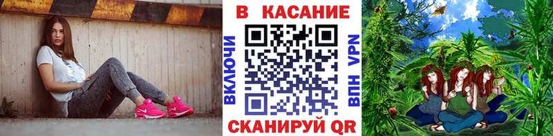 Наркота Гатчина СК  Кокаин 