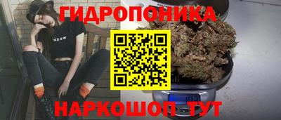 сатива Бузулук