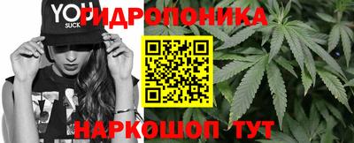 дурь Будённовск