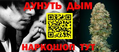 сатива Бузулук