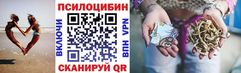 маркетплейс телеграм Гатчина Галлюциногенные грибы MAGIC MUSHROOMS