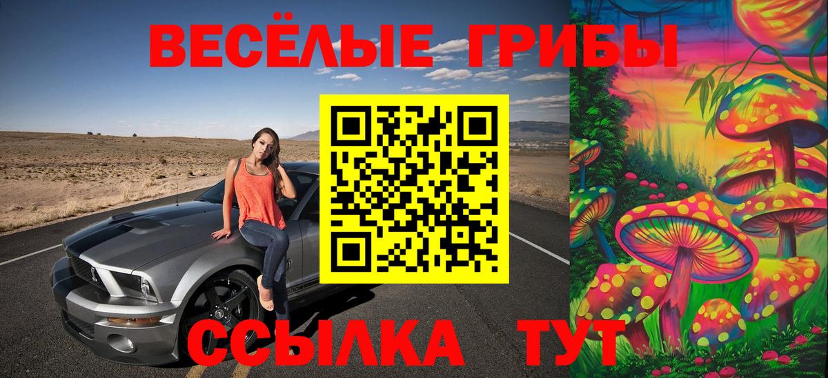 Псилоцибиновые грибы Psilocybe  продажа наркотиков  Гатчина  Вход с VPN 